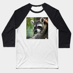 Raccoon 001 Baseball T-Shirt